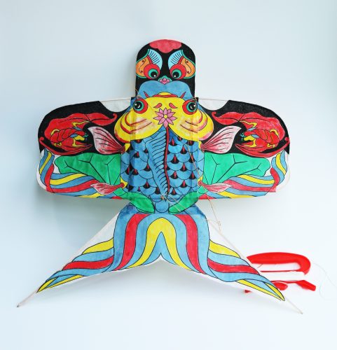 Shayan Kite